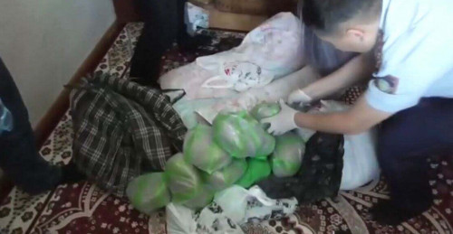 Shymkent turǵynynan 22 keli marıhýana tárkilendi