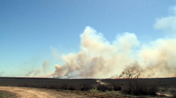 ShQO-da dala oty órship tur