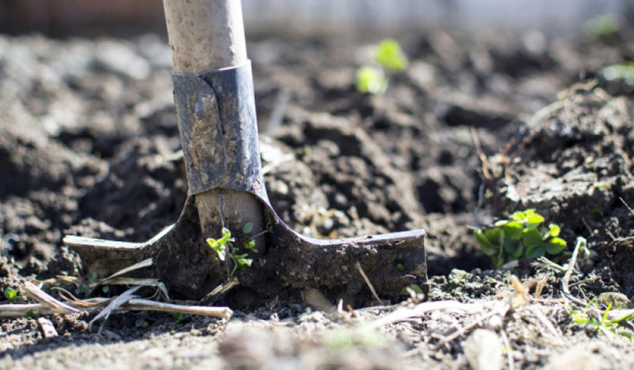 Kúrek pen júrektiń orny...