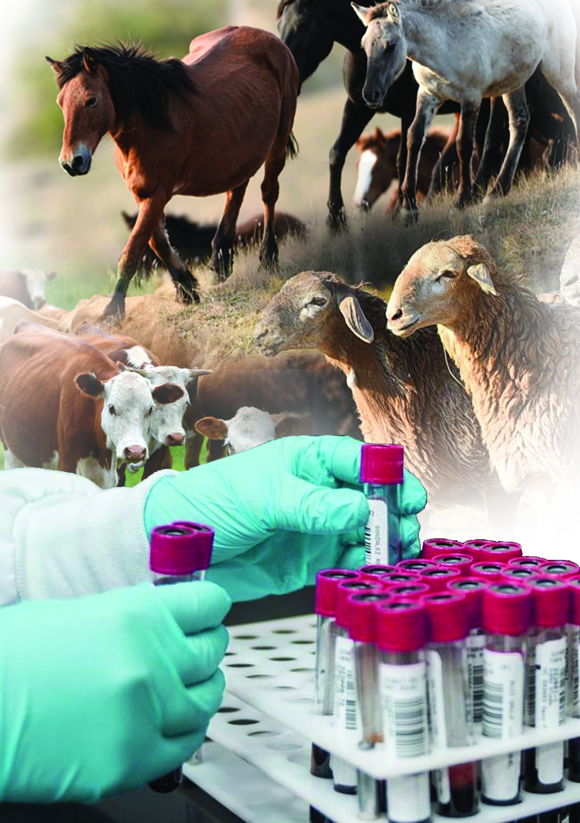 Júgen ustap qalmasaq jarar edi...