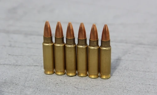 Pavlodar oblysynyń turǵyny polısııaǵa 138 patron tapsyrdy