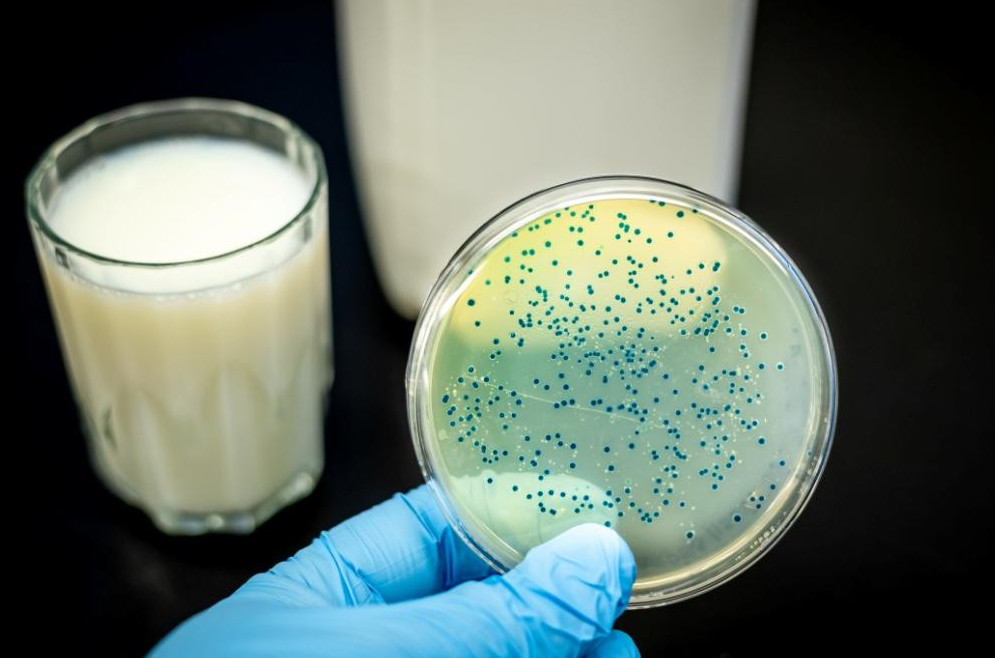 Qaraǵandy oblysynda 5 adam brýsellez juqtyrdy