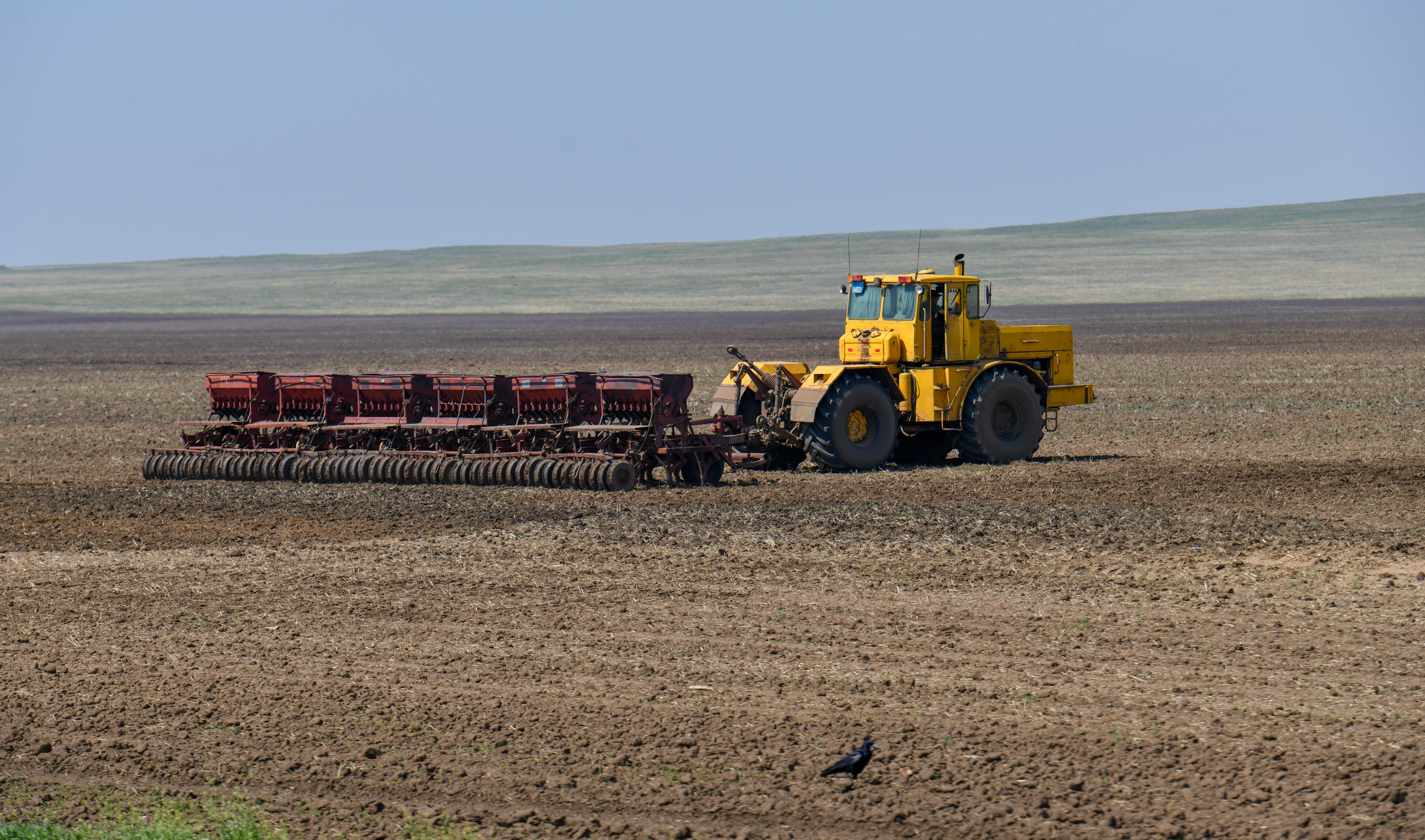Dala tósindegi dúbir