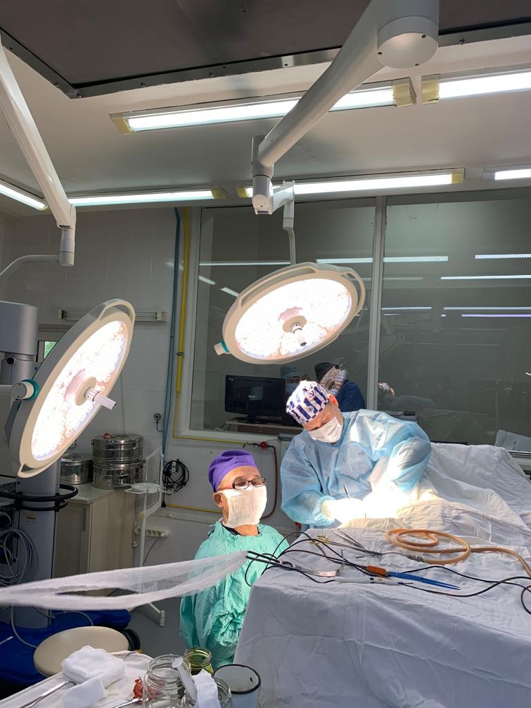 Adam ómirine ara túsken hırýrgter