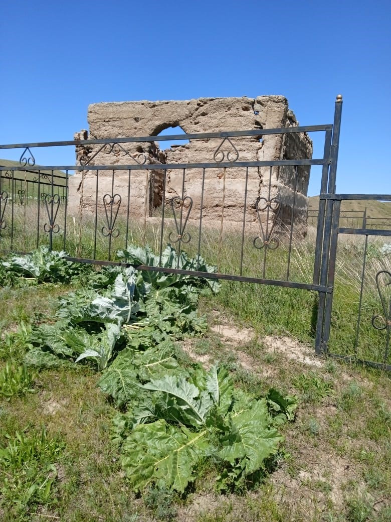 «Qyzyl qyrǵyn bolady, baı baıǵusqa aınalady»