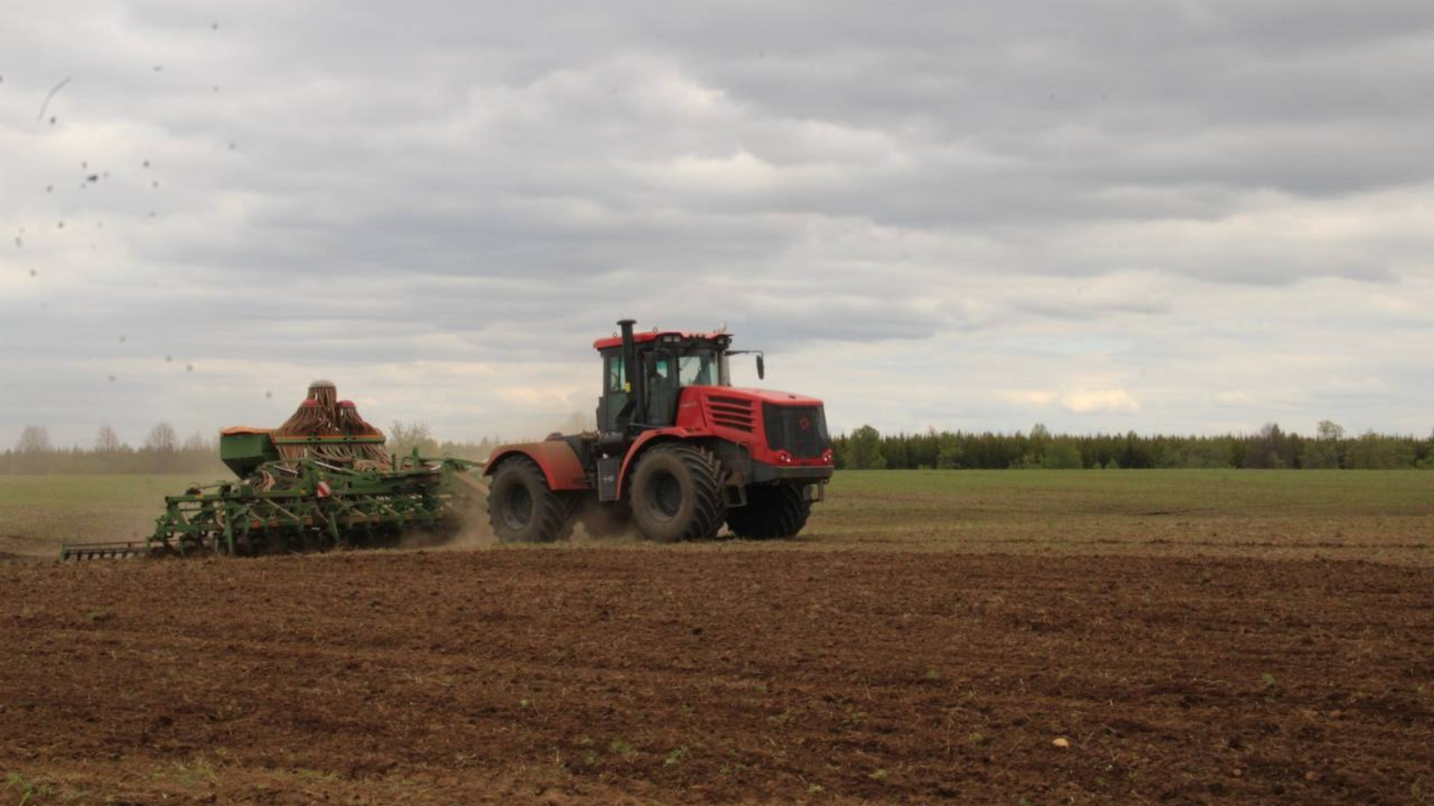 Dıqandardyń tehnıkasy saqadaı saı