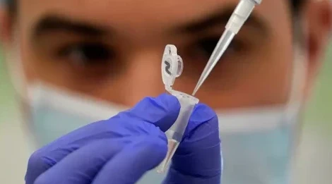 Belgııada maımyl shesheginiń 6 deregi tirkeldi