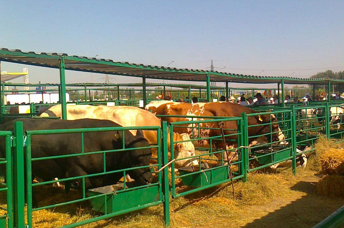 Mal sharýashylyǵyndaǵy mańyzdy qadam