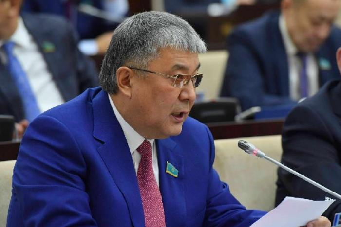 Búldirshinderdi úsh tilde oqytýdyń qajeti joq - senator