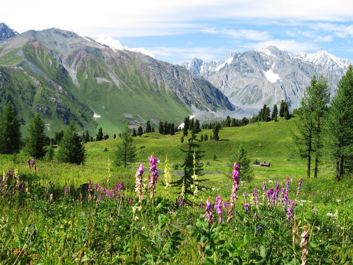 Jańa tabıǵı aýmaqtar qurylady