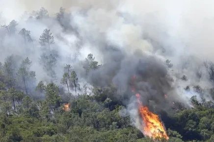 Ispanııada orman órtendi