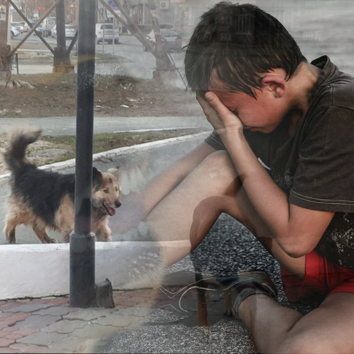 On eki jastaǵy balany ıt talap, jazym etti