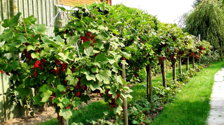 Taptaı berseń, túk qalmaıdy...