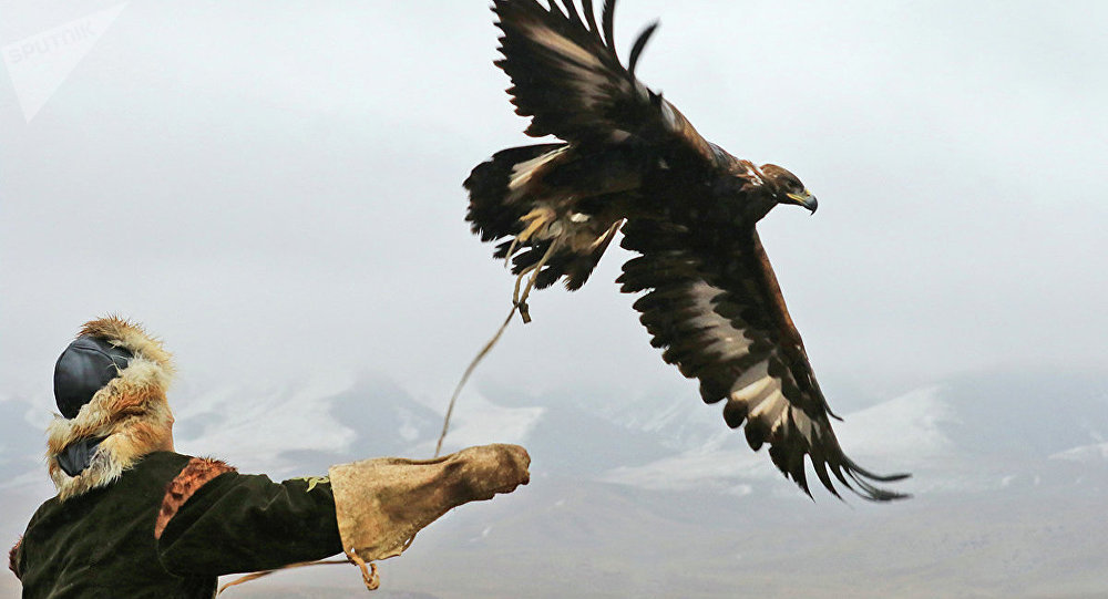 Búrkitpen ań qaǵý