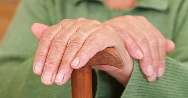 Zeınetaqy týraly aqparat jalǵan