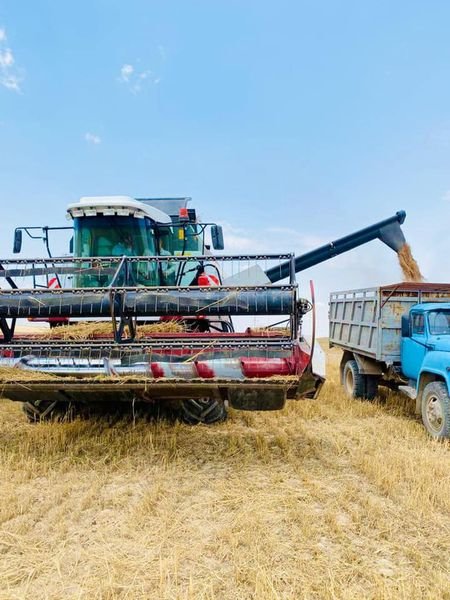 Ońtústikte eginge oraq tústi