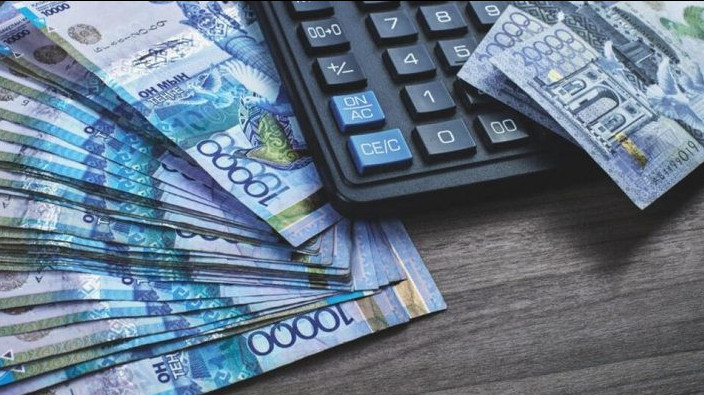 Senator bıýdjet qarjysyn paıdalanýǵa qatysty máselelerdi atady