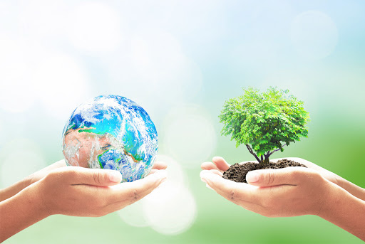 Ekologııalyq mádenıet – tabıǵatty qorǵaý qundylyqtarynyń negizi