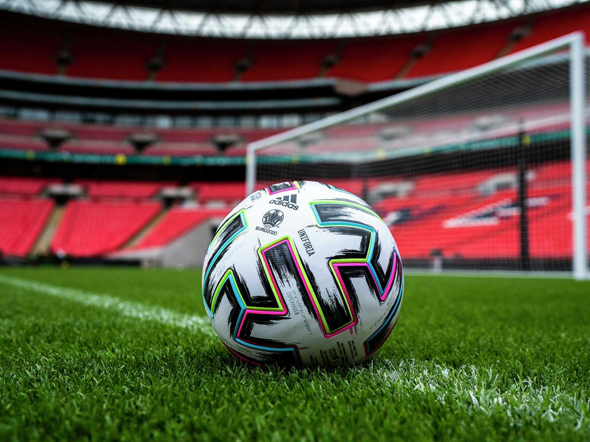 Qaı qarsylas qarymdy?