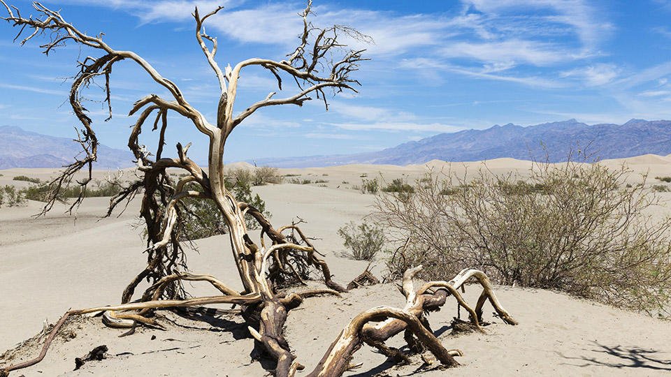 Aptaptyń azabyn tartqan adamzat