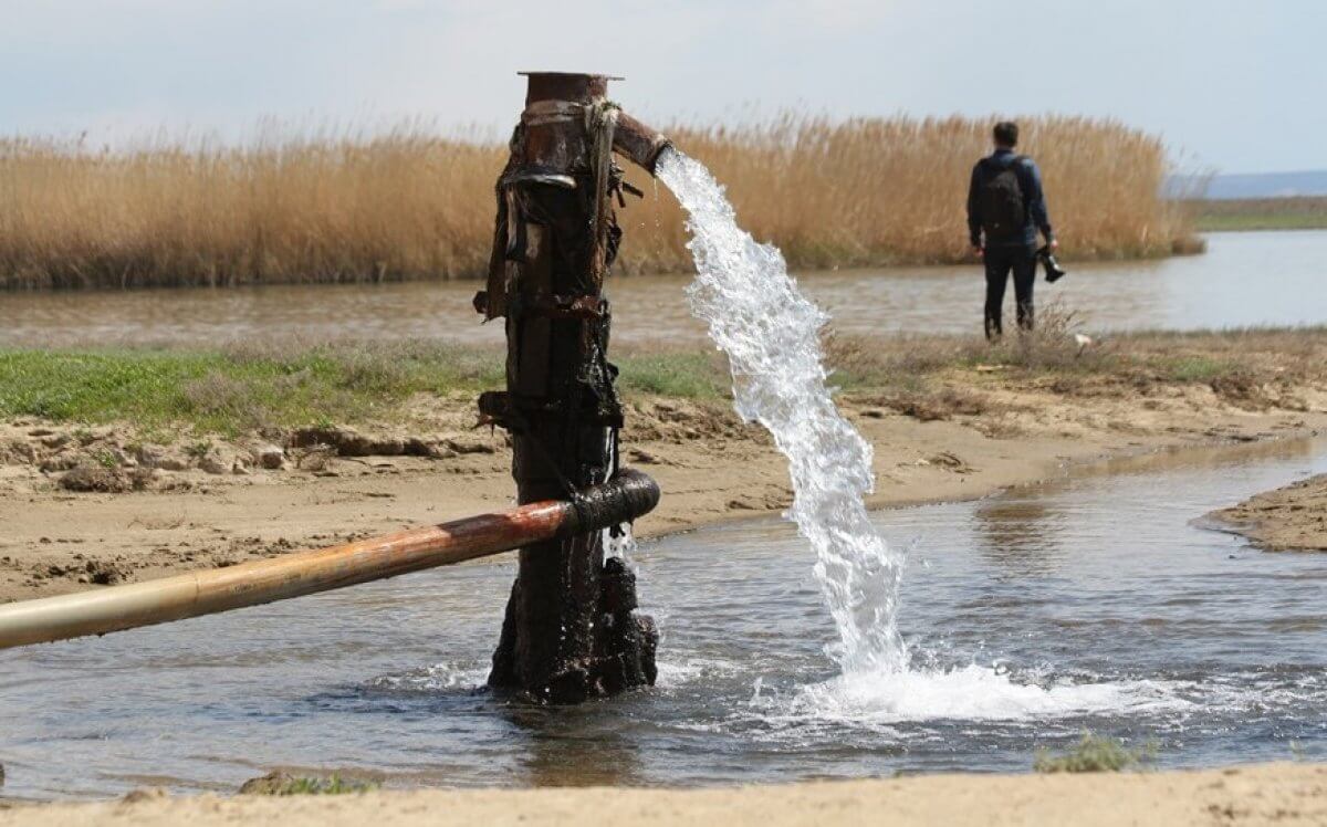 Kókjıdege qoldaý qajet