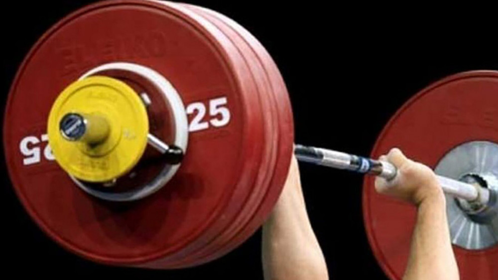 Jalpy esepte top jardy