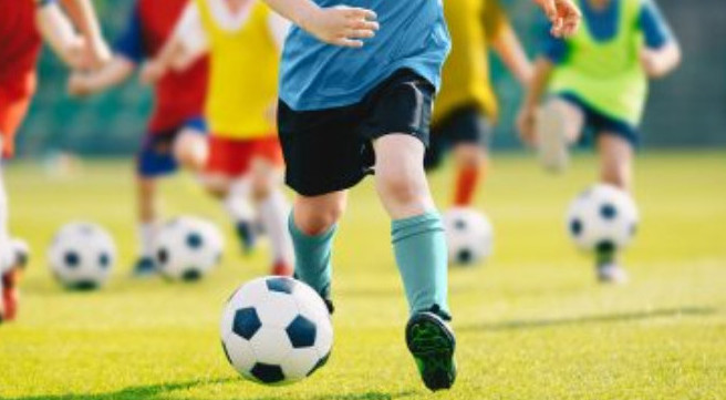 Sport seksııalarynyń baǵasy qaıta qarastyrylady - Dáýren Abaev