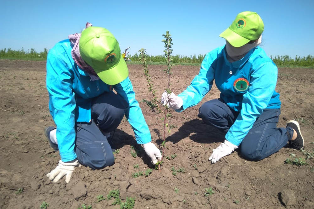 «Jasyl elge» – 138 mln teńge