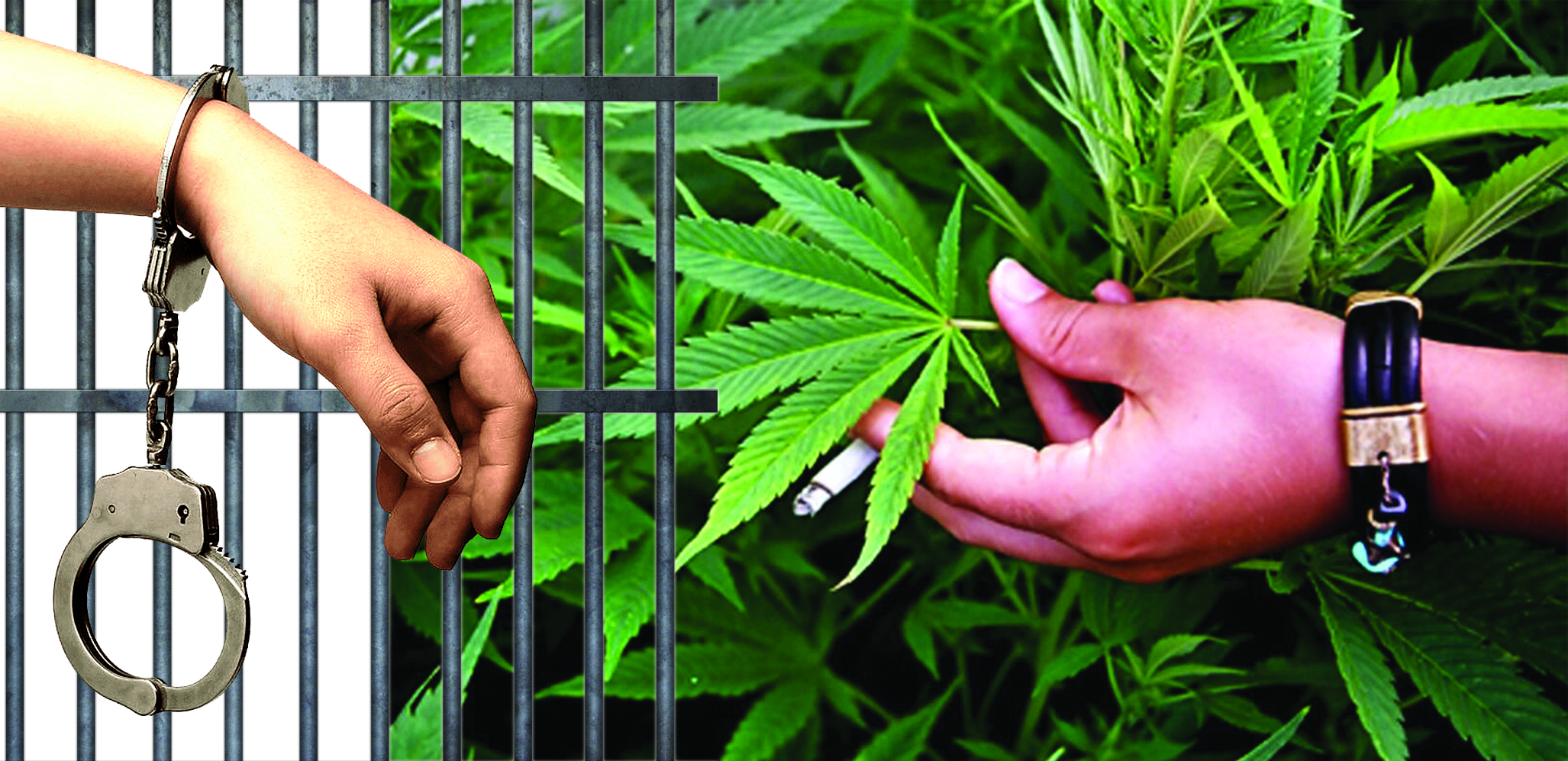 «Qarasora» kezinde anyqtalǵan qylmystar