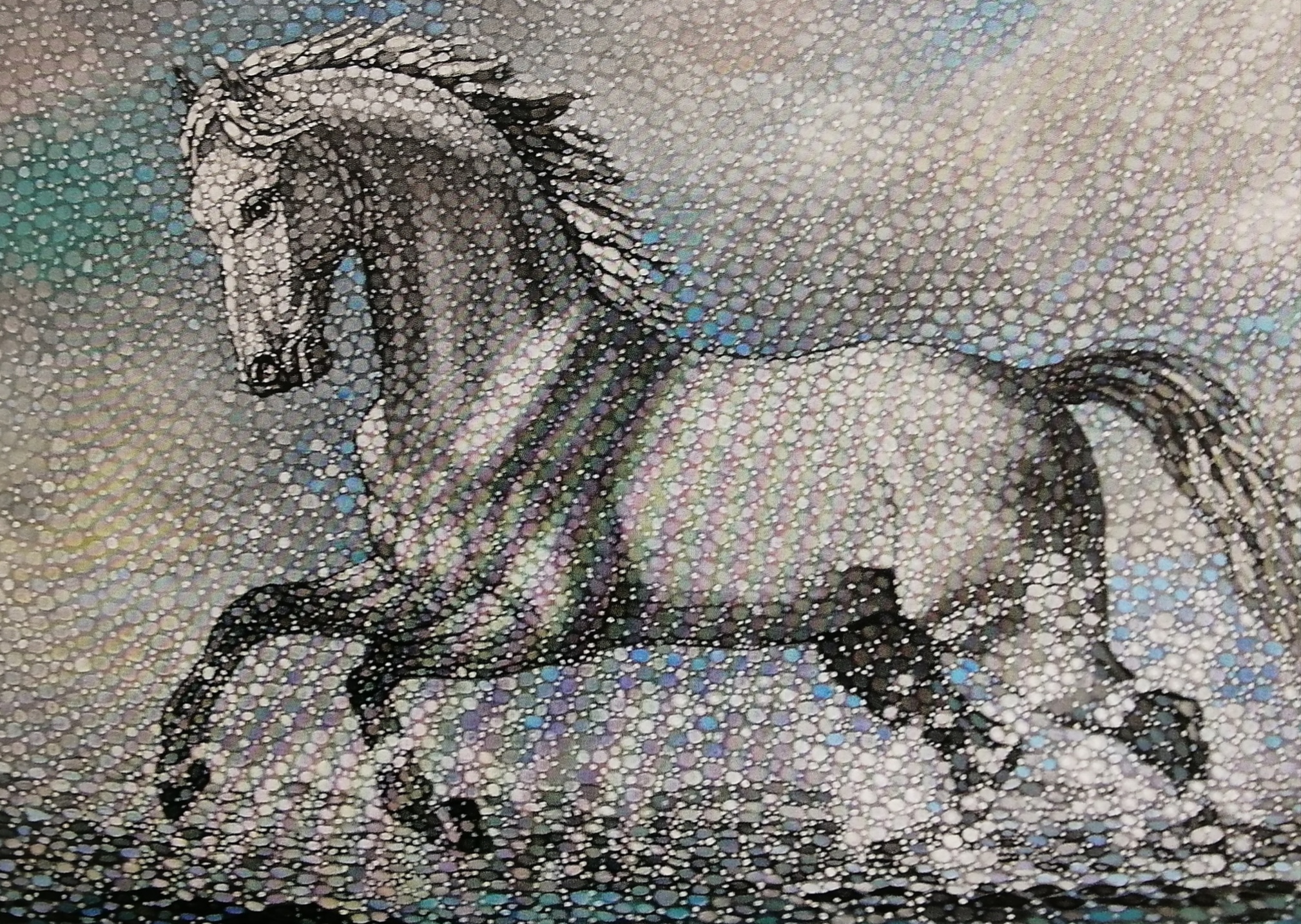 Tolqyn shashyp shapqan at