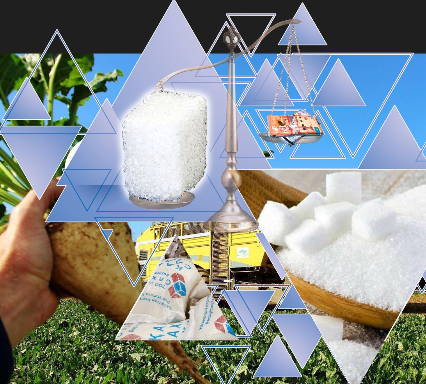 Qant naryǵyna reforma qajet