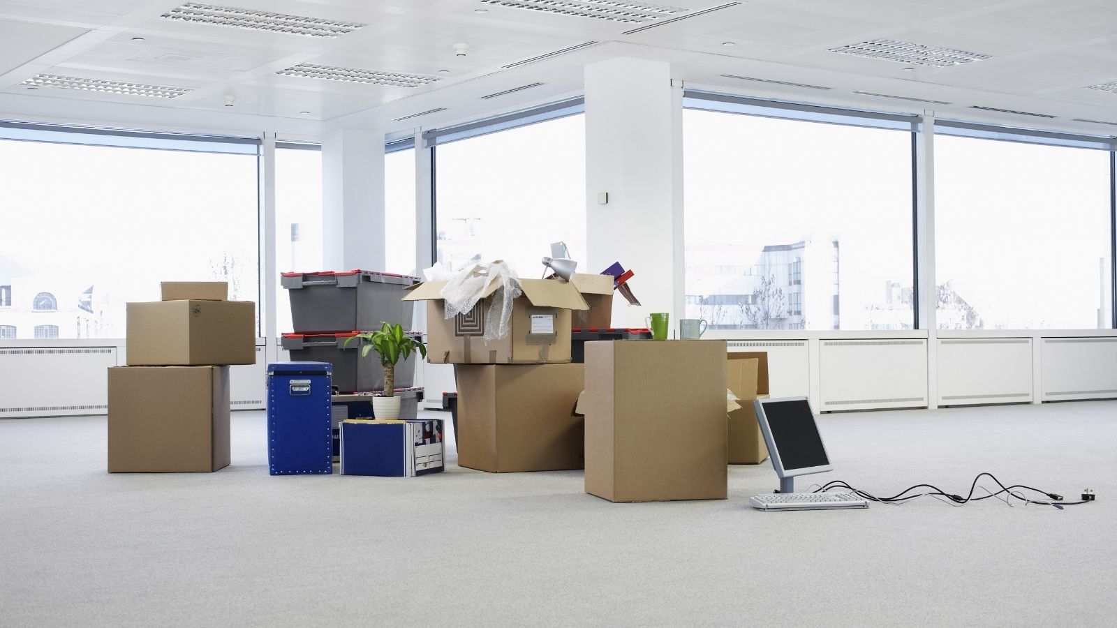 Reti kelgen relokasııa