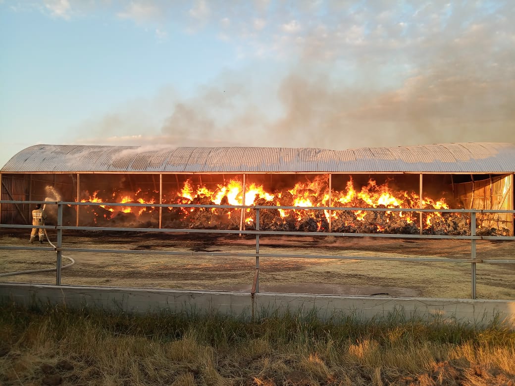 Batys Qazaqstanda 600 tonna shóp órtendi
