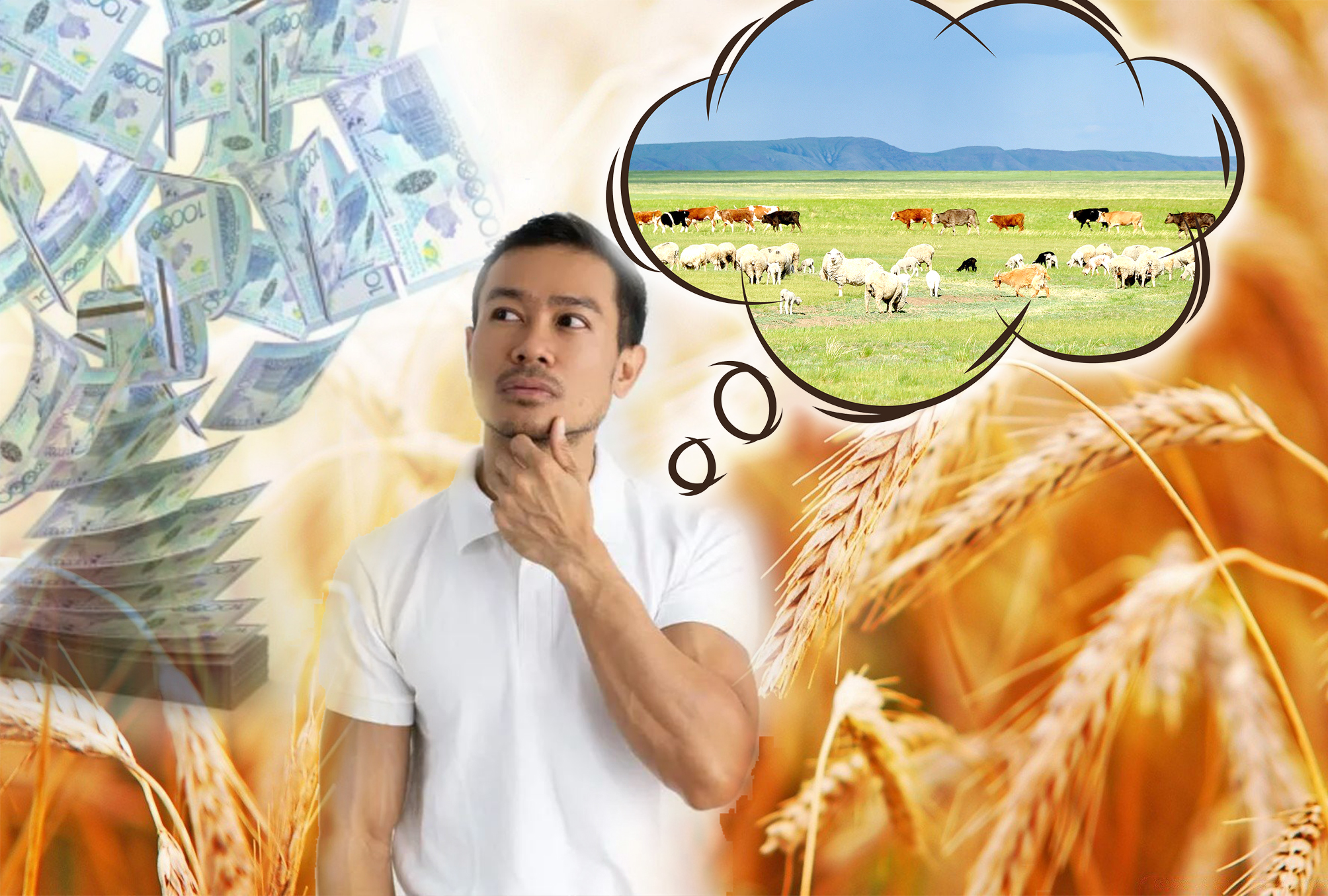 Qaǵaz júzindegi malǵa sýbsıdııa alǵan