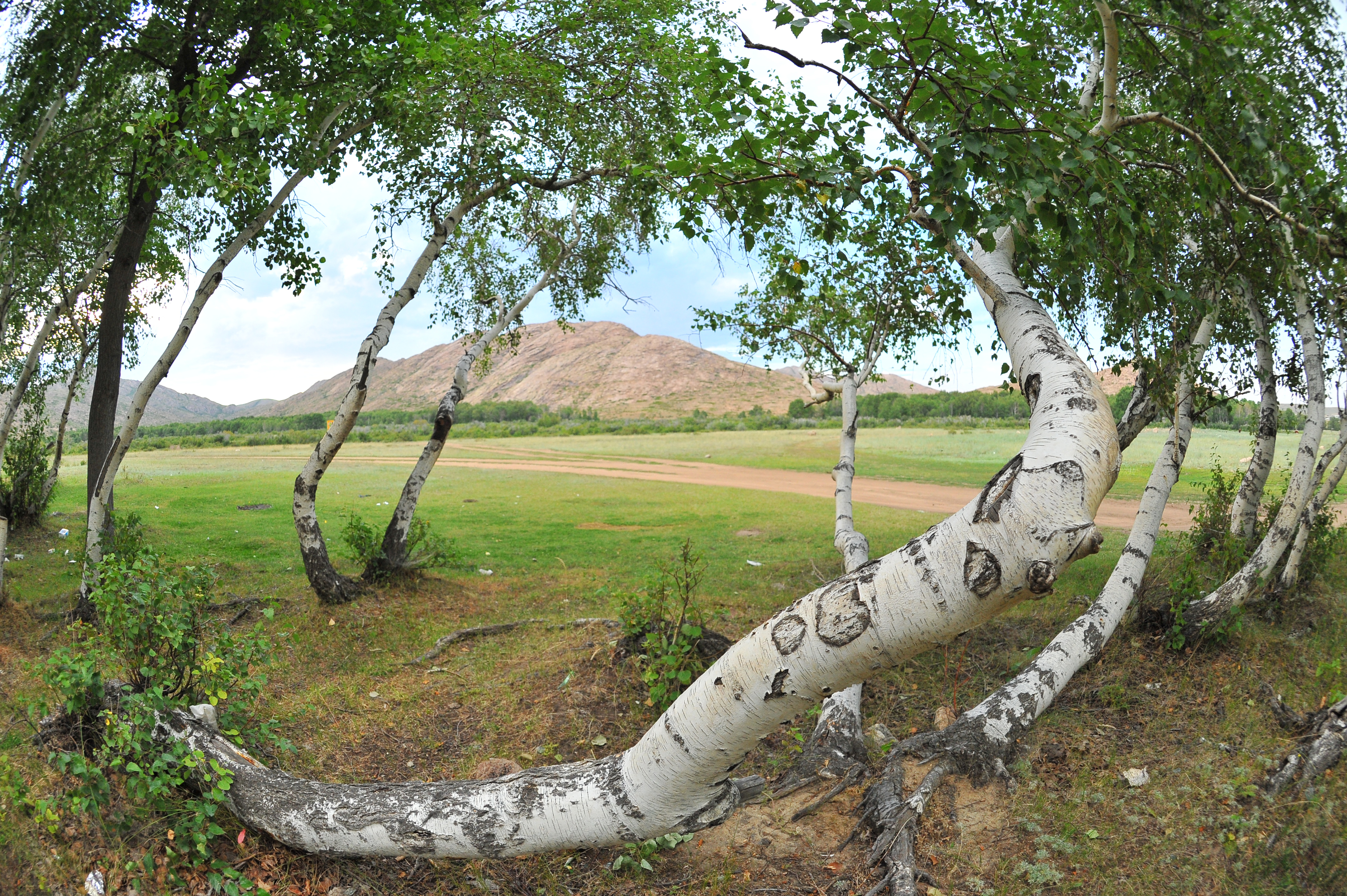 Aqyndar Alasha han men Joshy handy jyrlaıdy