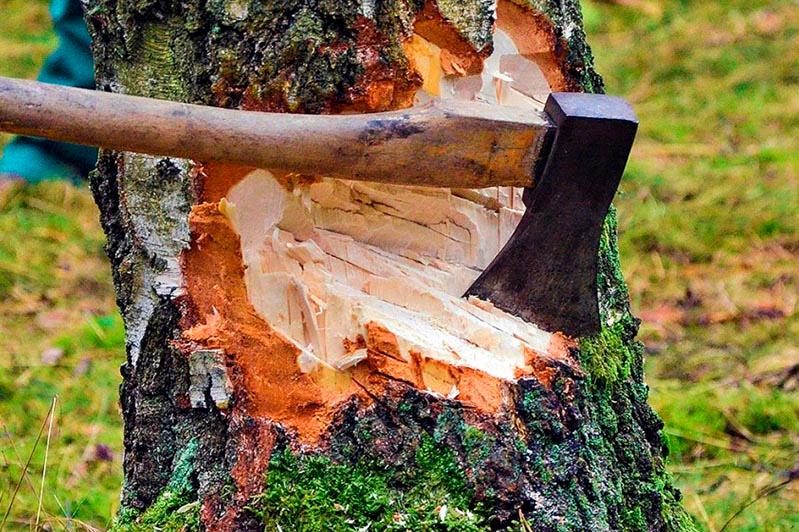 Qaraǵaıdy nege kesti?