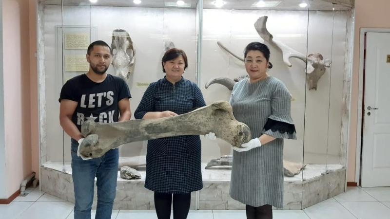 Jádigerler – 3D formatta