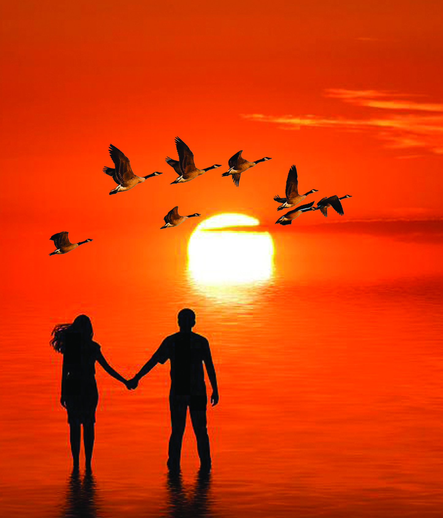 Qustar qaıtyp barady