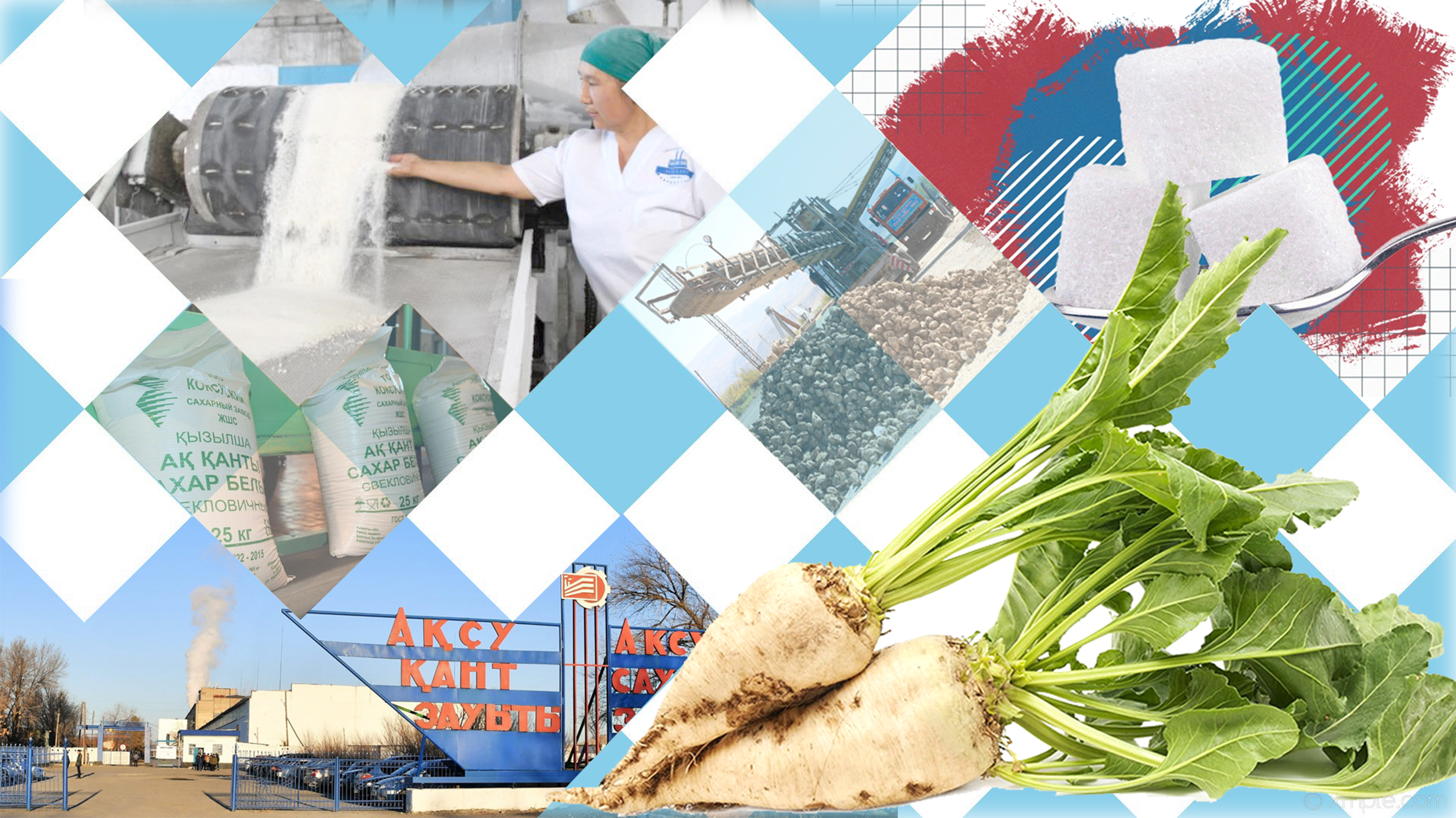 Qant zaýyttarynyń qaýqary