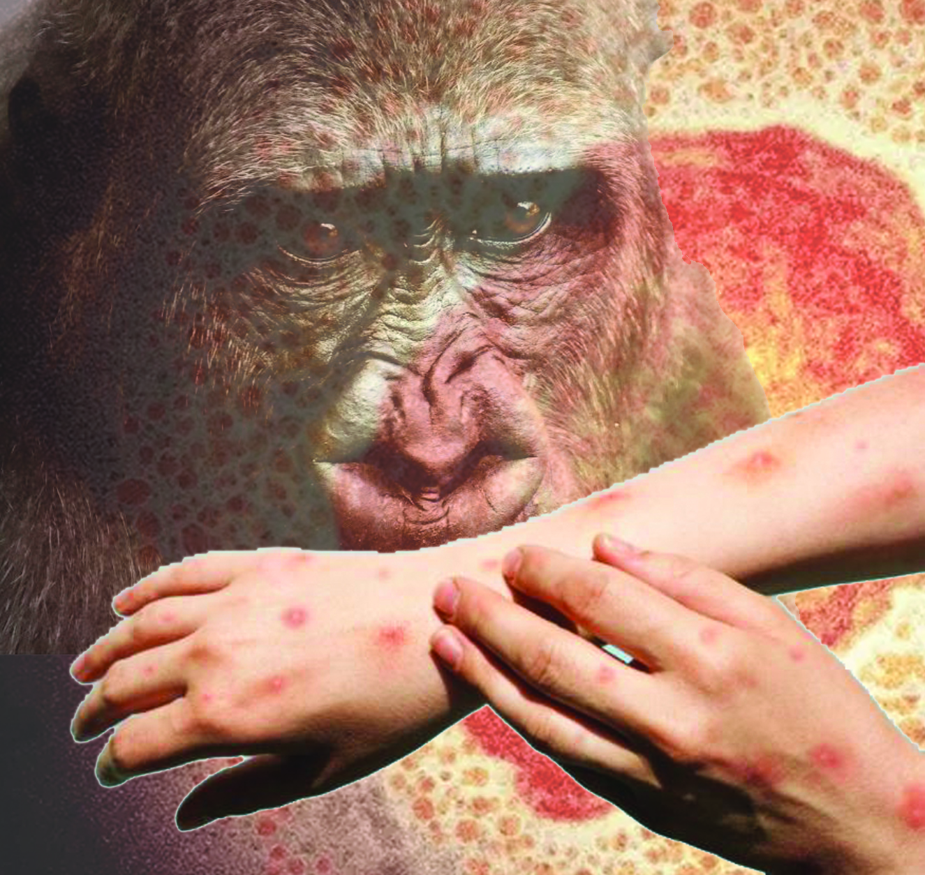 Álemde maımyl sheshegi  órship barady