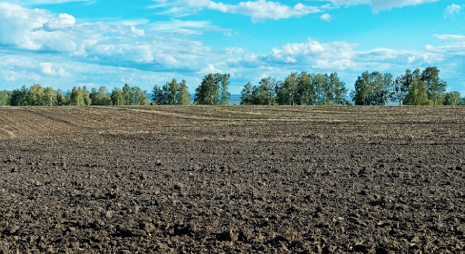 Ábetanovty áýrege salǵany nesi...