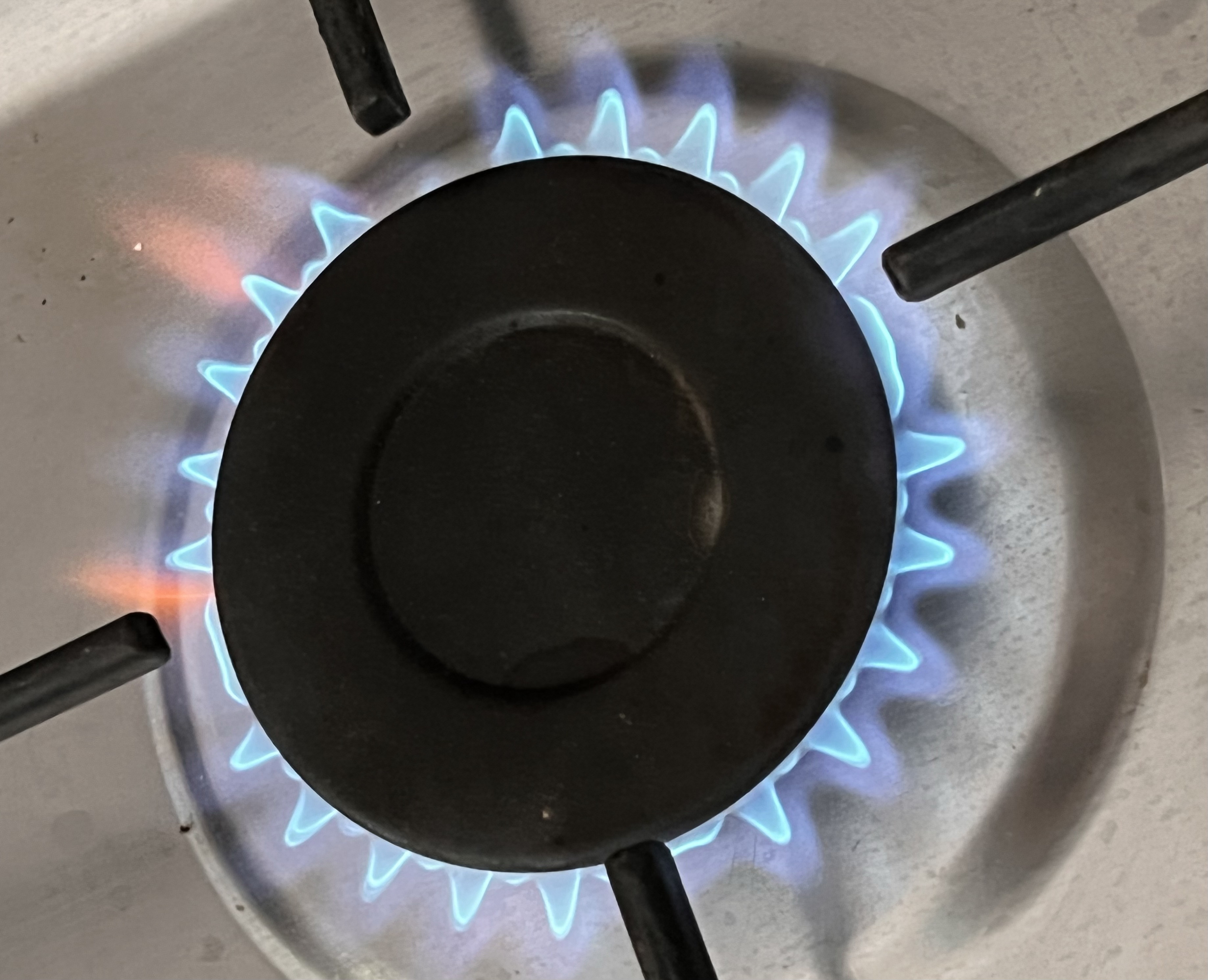 «Kógildir otyn» úshin qaryz kóbeıip barady