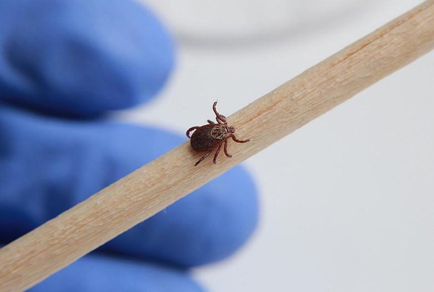 Shymkentte kene shaǵyp alǵan er adam qaıtys boldy