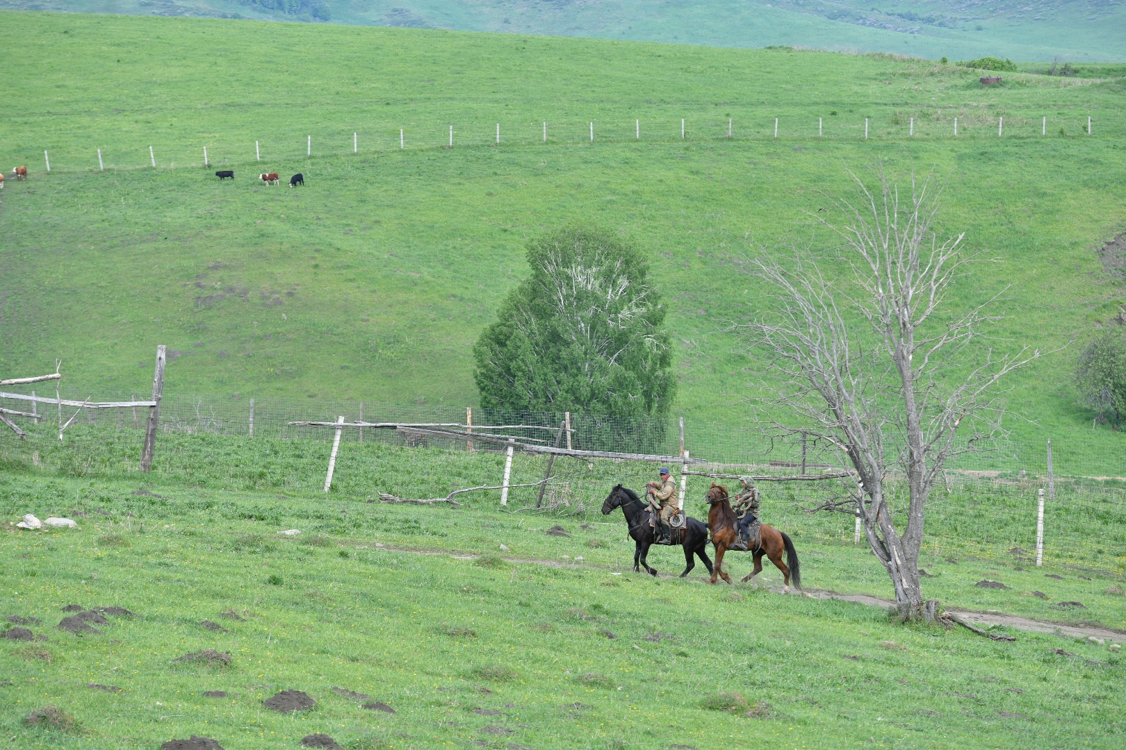 1,1 mln gektar jer qaıtaryldy
