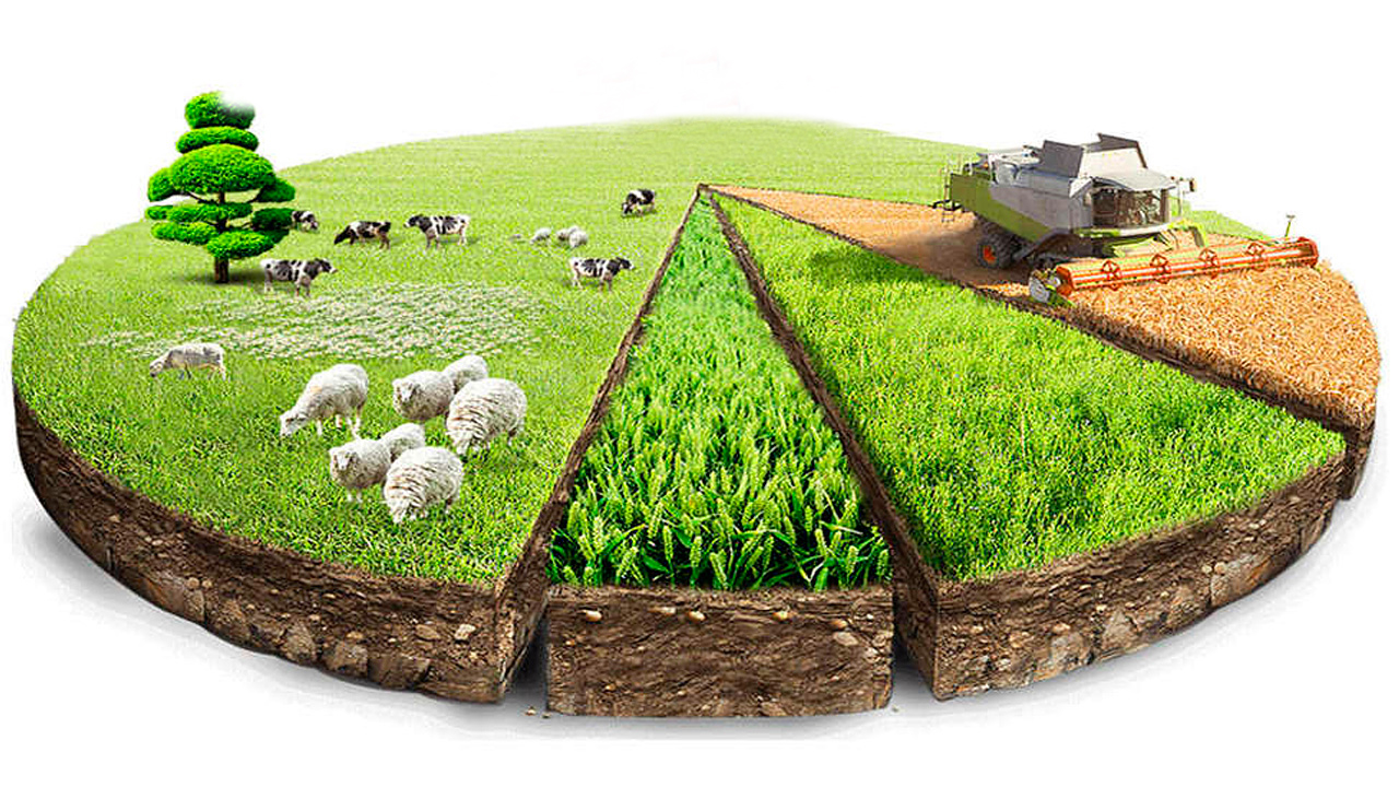 Egistikke esi ketkender shabyndyq pen jaıylymdarǵa qol salyp jatyr