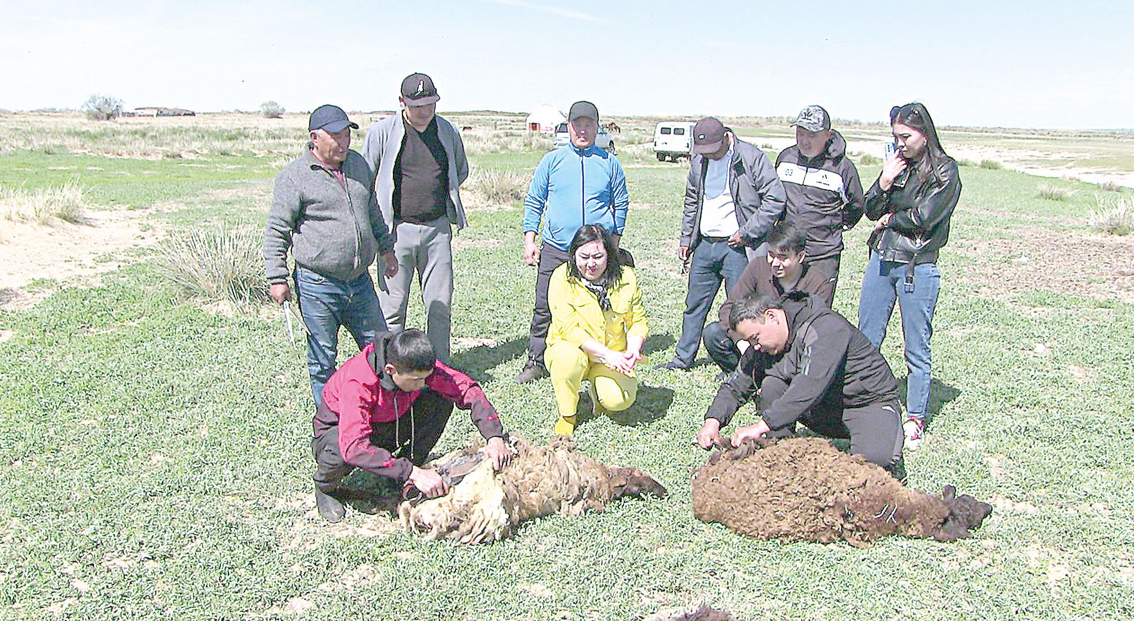 Ulyqum eteginde uıymdastyrylǵan ıgi is