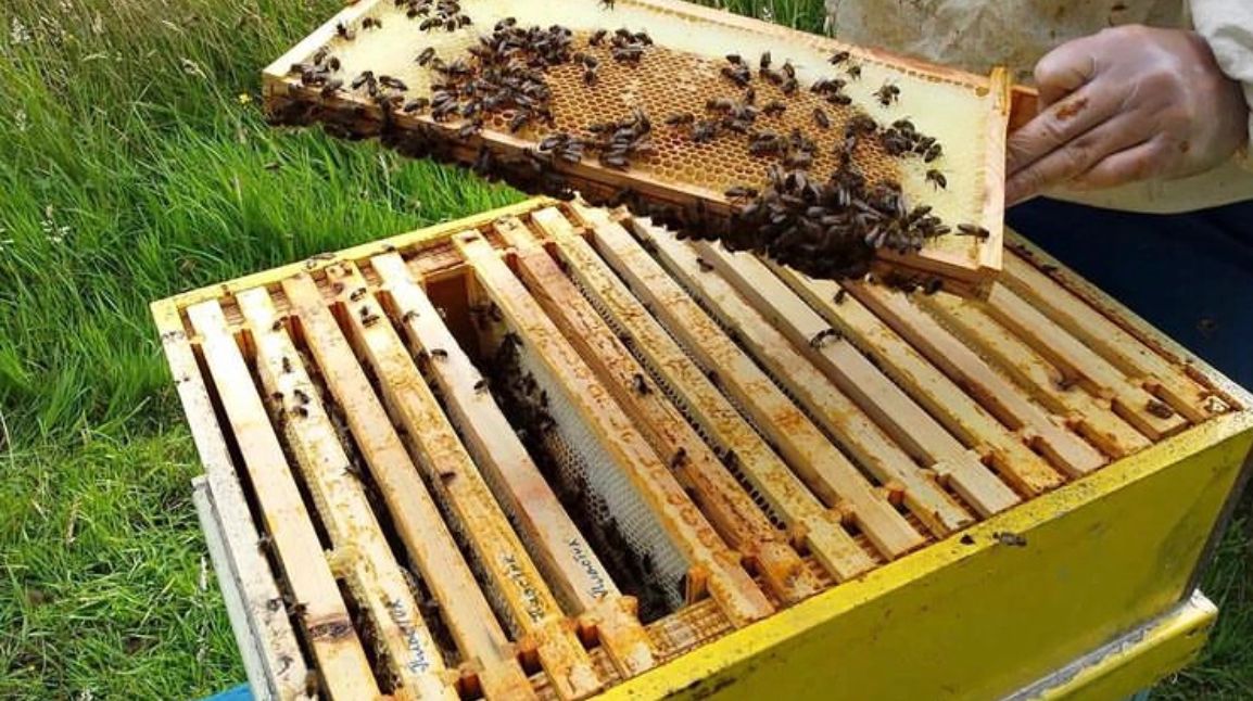 «TekTau»-dyń baly tanymal