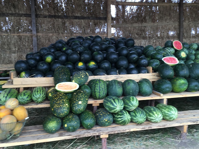 Teriskeıdiń tátti qarbyzy