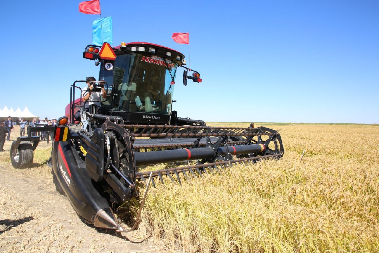 Syrda kúrish alqaptary azaıdy