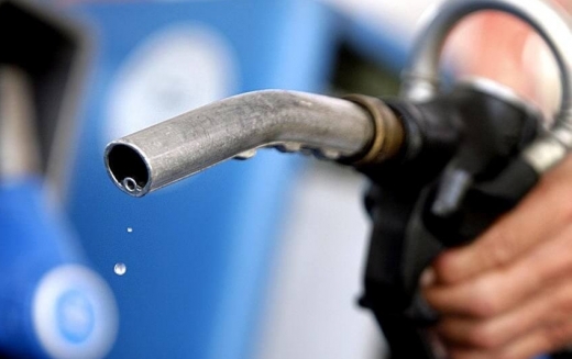 Janarmaı qory jasaqtalady